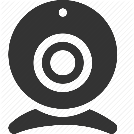 LiveCamGal Logo